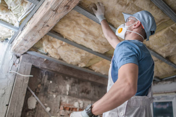 Best Residential Insulation in Des C, AR