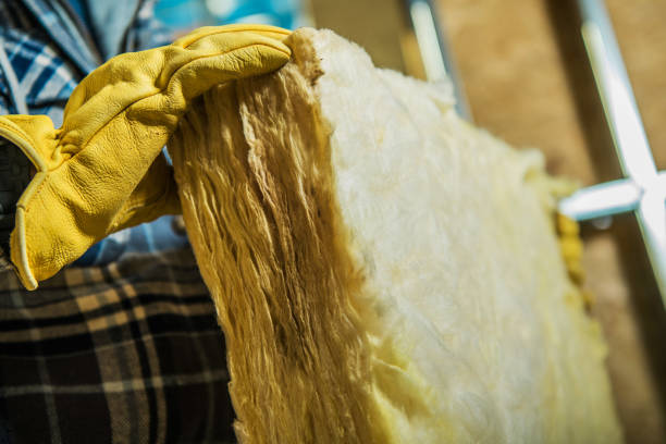 Best Spray Foam Insulation in Des C, AR